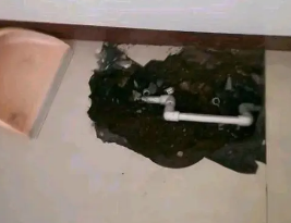 峰峰矿卫生间测漏水多少钱